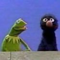 kermit gets teeth